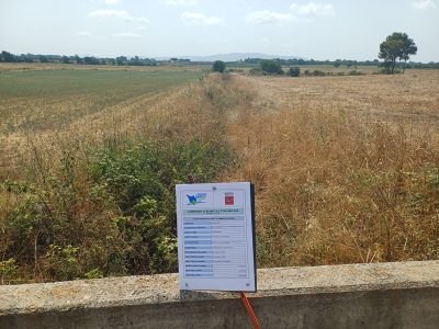 Dopo l'intervento